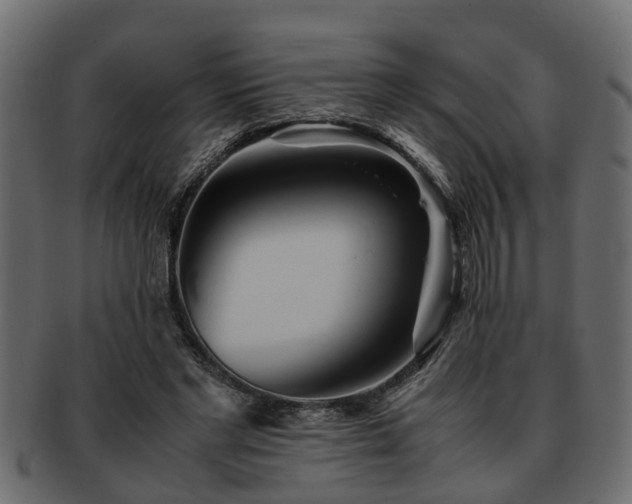 X0000092270493200710041355
