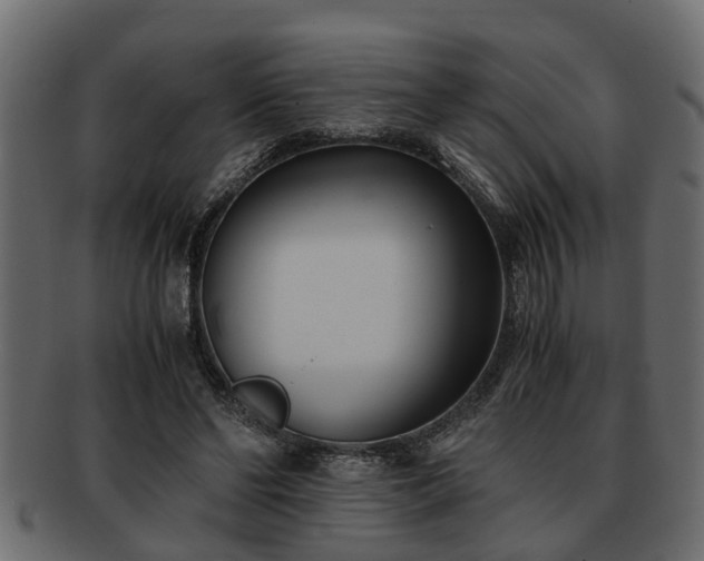 X0000092270494200710041355