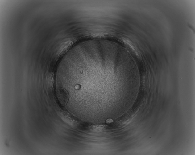 X0000092270495200710041355