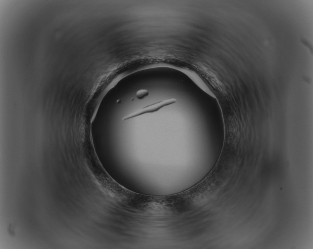 X0000092270496200710041355