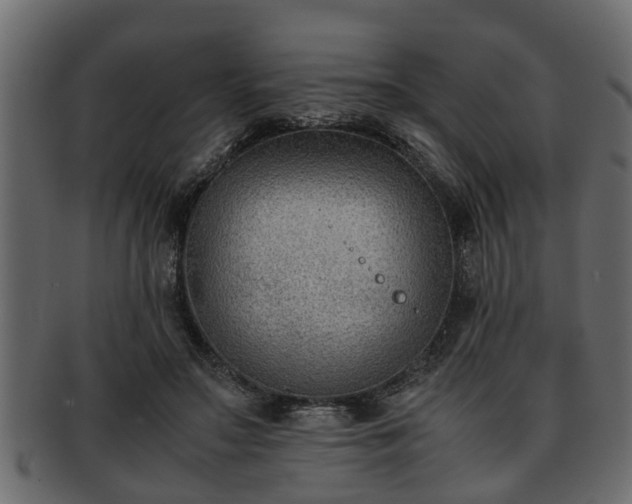 X0000092270499200710041355