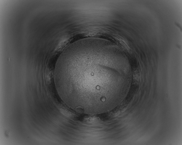 X0000092270503200710041355