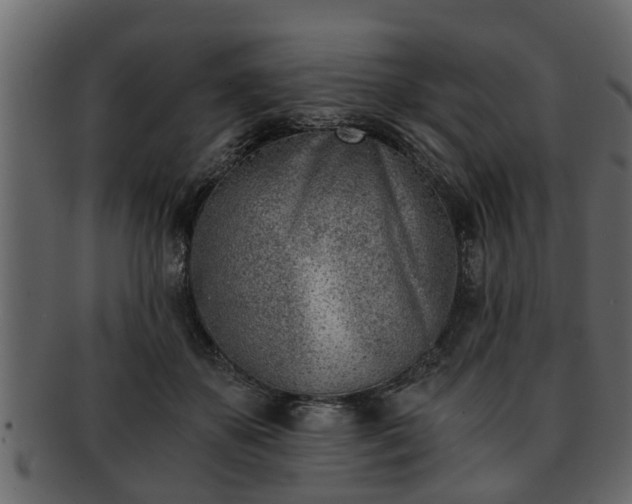 X0000092270507200710041355