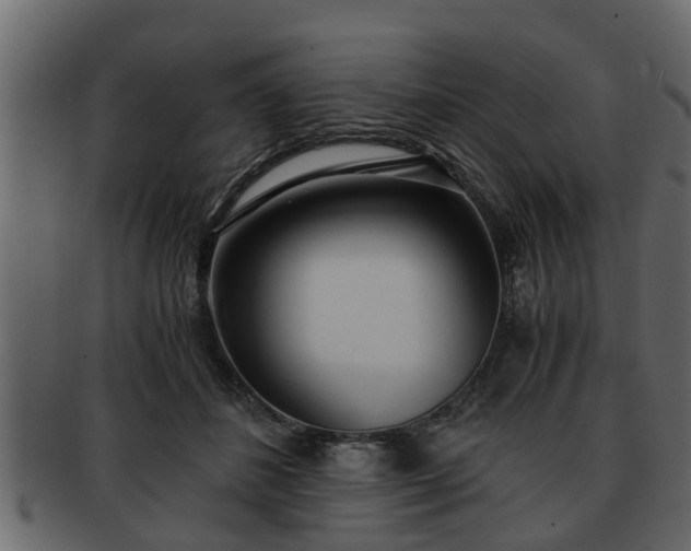 X0000092270508200710041355