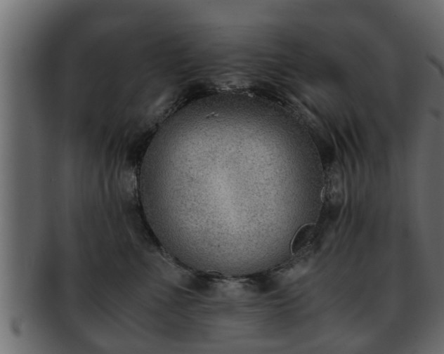 X0000092270523200710041355