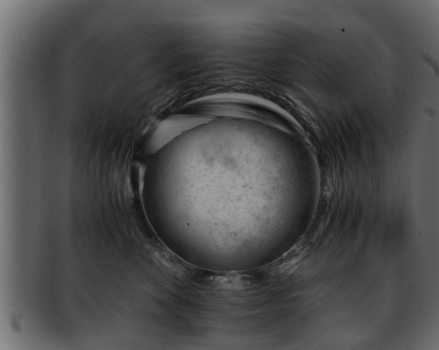 X0000092270524200710041355