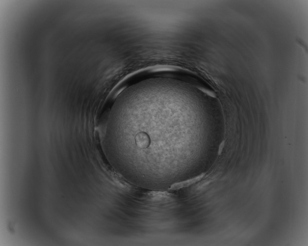 X0000092270528200710041355