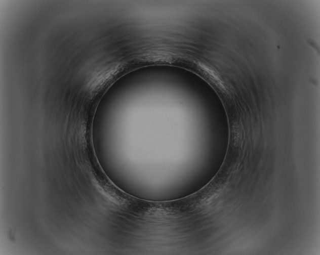 X0000092270538200710041354