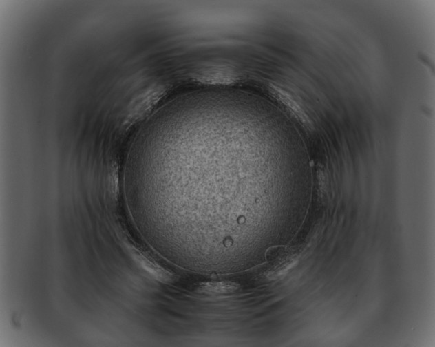 X0000092270541200710041354