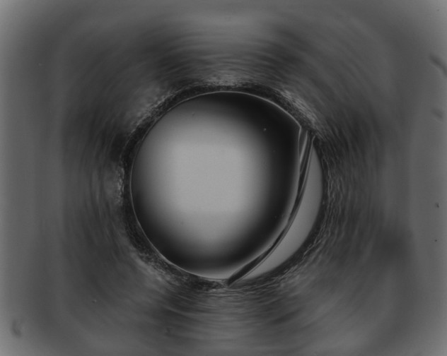 X0000092270544200710041354