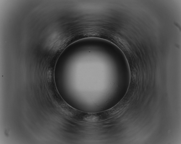 X0000092270551200710041354
