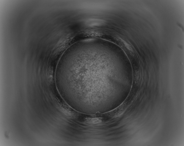 X0000092270553200710041354