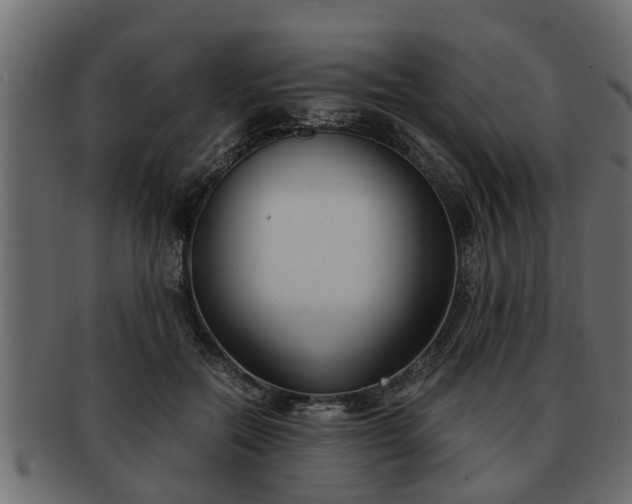 X0000092270554200710041354