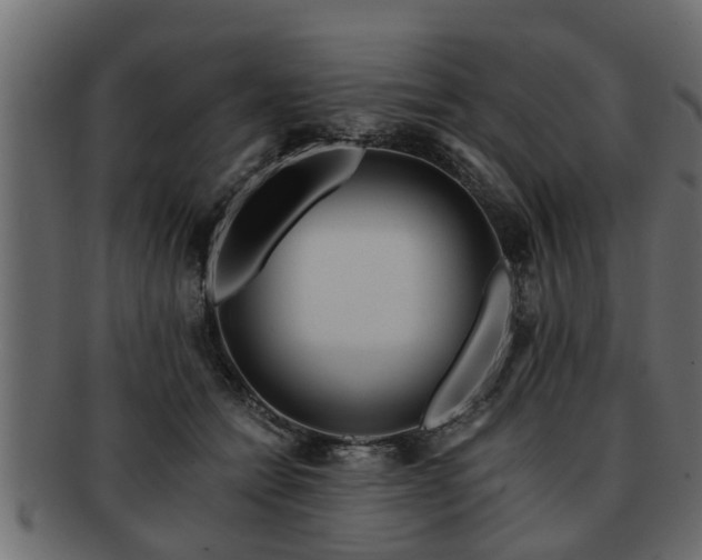 X0000092270558200710041354