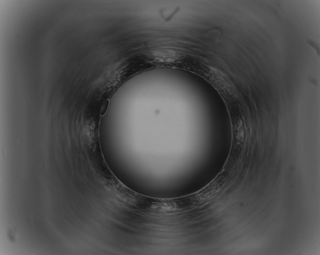 X0000092270559200710041354