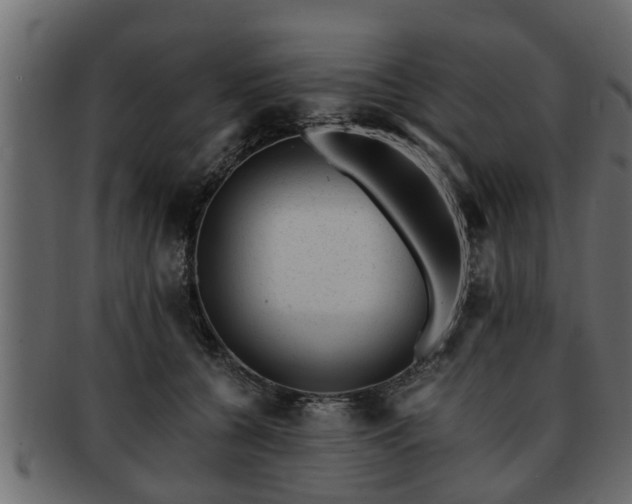 X0000092270560200710041354