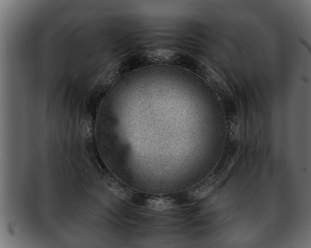 X0000092270561200710041354
