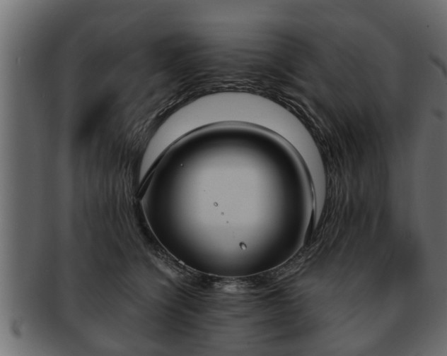 X0000092270564200710041355