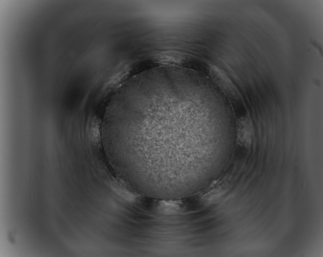 X0000092270573200710041355