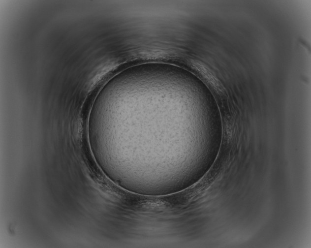 X0000092270583200710041354