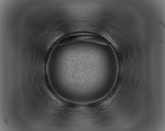 X0000092270585200710041354