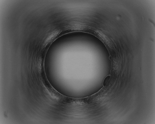 X0000092270586200710041354