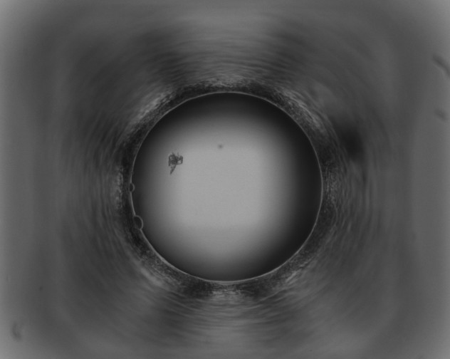 X0000092270591200710041354