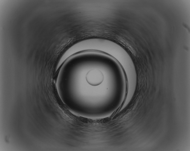 X0000092270593200710041354