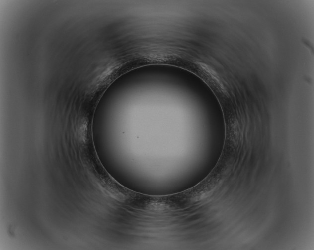 X0000092270596200710041354