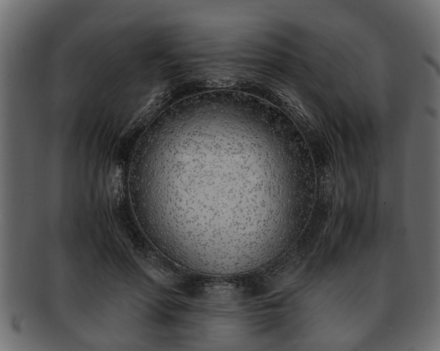 X0000092270598200710041354
