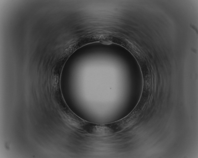 X0000092270605200710041354