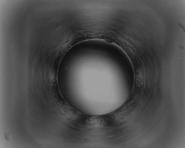 X0000092270608200710041354