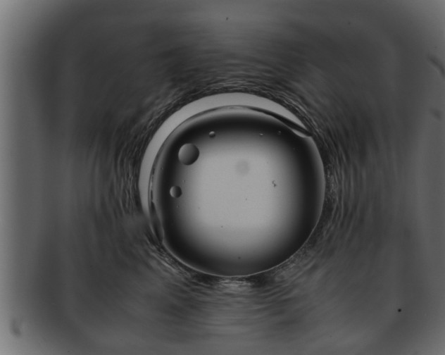X0000092270617200710041354