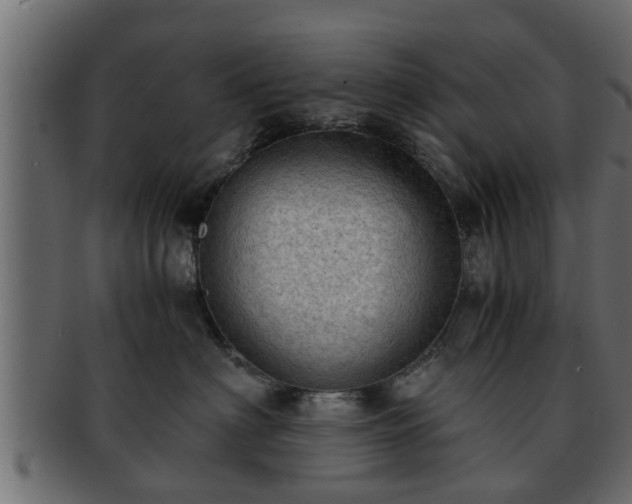 X0000092270622200710041354