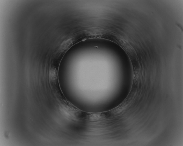 X0000092270623200710041354