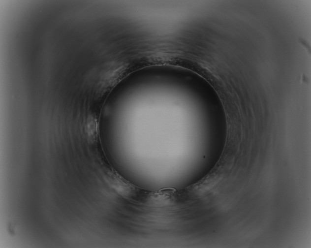 X0000092270624200710041354