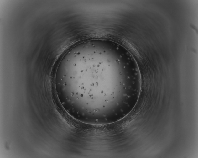 X0000092270626200710041353