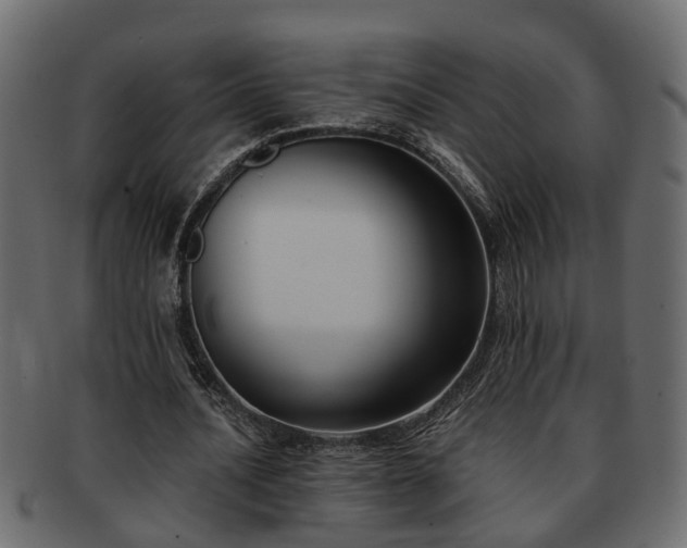 X0000092270628200710041353