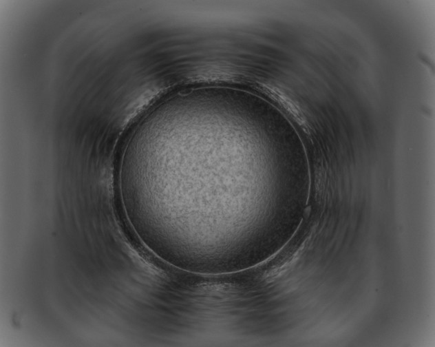X0000092270629200710041353