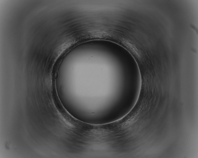 X0000092270630200710041353