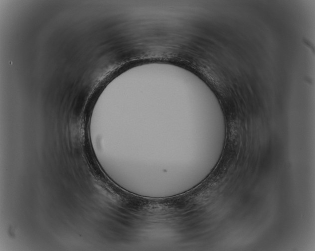 X0000092270632200710041353