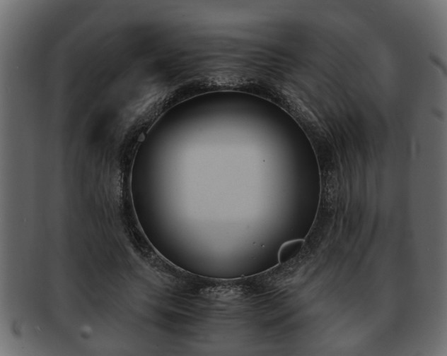 X0000092270639200710041353