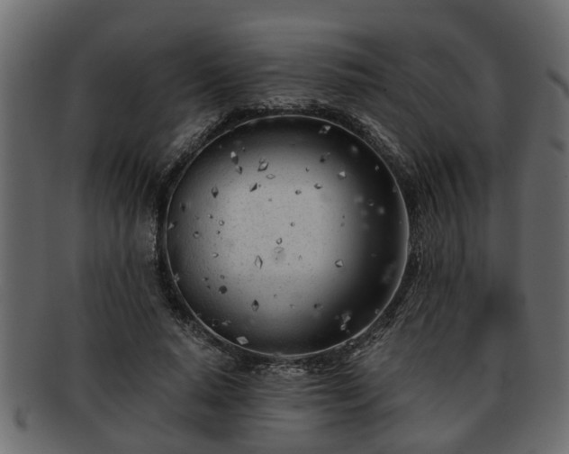 X0000092270640200710041353