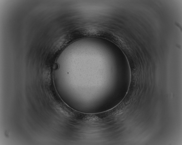 X0000092270642200710041353