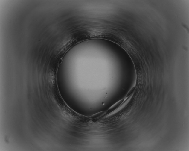X0000092270648200710041353
