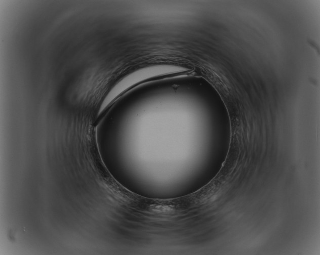 X0000092270649200710041353