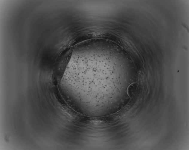 X0000092270650200710041353
