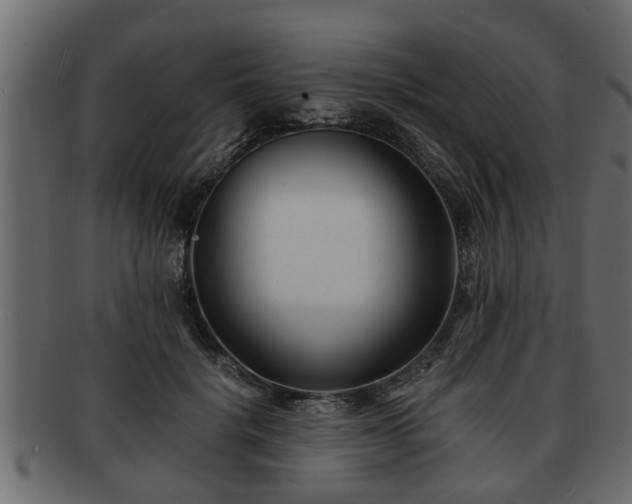 X0000092270652200710041353