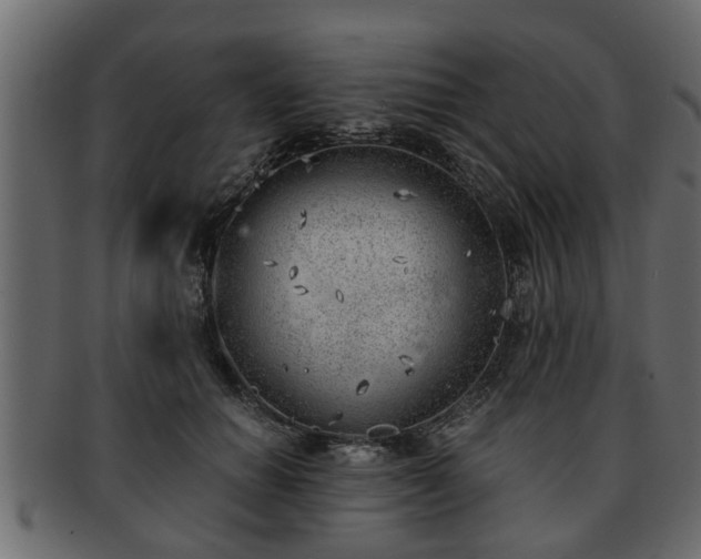 X0000092270654200710041353