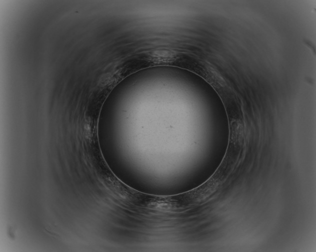 X0000092270655200710041353